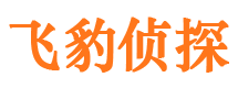 石嘴山市私家侦探